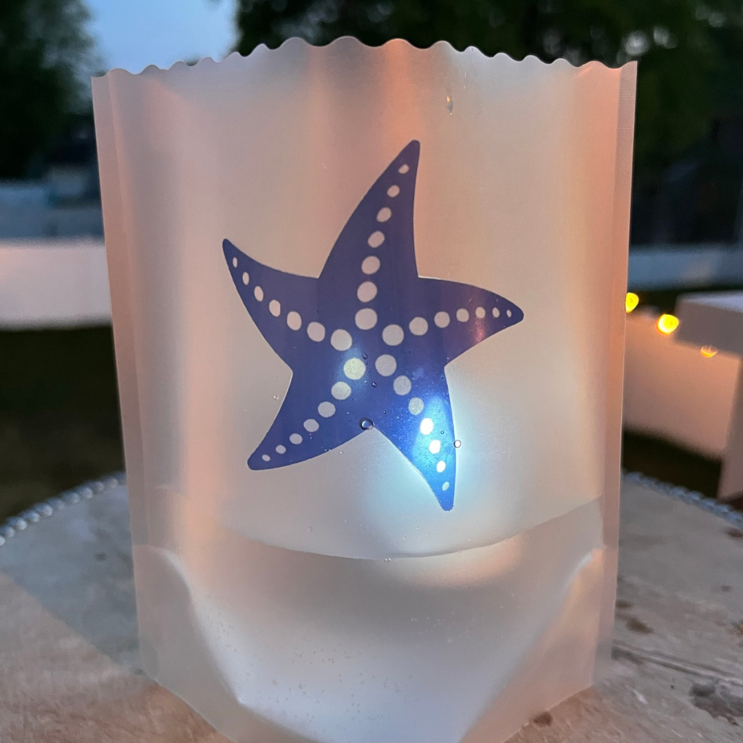 STARFISH Luminaries, Set of 4